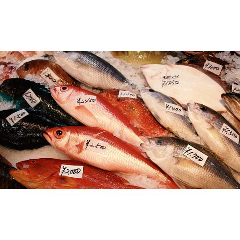 鮮魚
